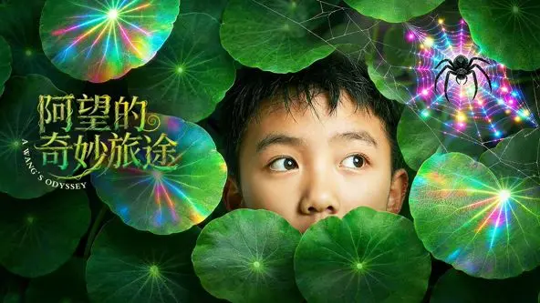 阿望的奇妙旅途：一场说走就走的旅行，却让人笑出腹肌！