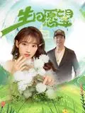 《生日愿望》：这动画剧集让人又哭又笑，许的愿望是真的会上头！