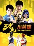 《功夫小英雄》：当传统武术遇上现代萌娃，一场笑料百出的成长“武”林记