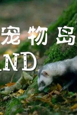 《宠物岛》：你以为是萌宠治愈系？小心这反差萌的套路，让你惊掉下巴！